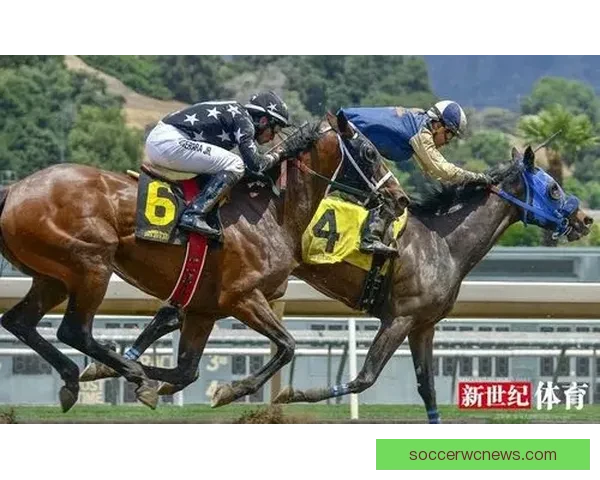 精准预测体育赛事 赢取大奖的最佳竞猜策略与技巧解析 精准预测体育赛事 赢取大奖的最佳竞猜策略与技巧解析